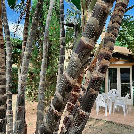Bungalow Tropical Nº6 - Son Xoriguer Leilighet Eksteriør bilde