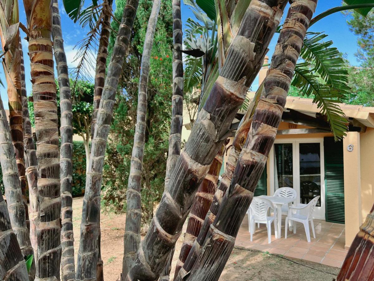 Bungalow Tropical Nº6 - Son Xoriguer Leilighet Eksteriør bilde