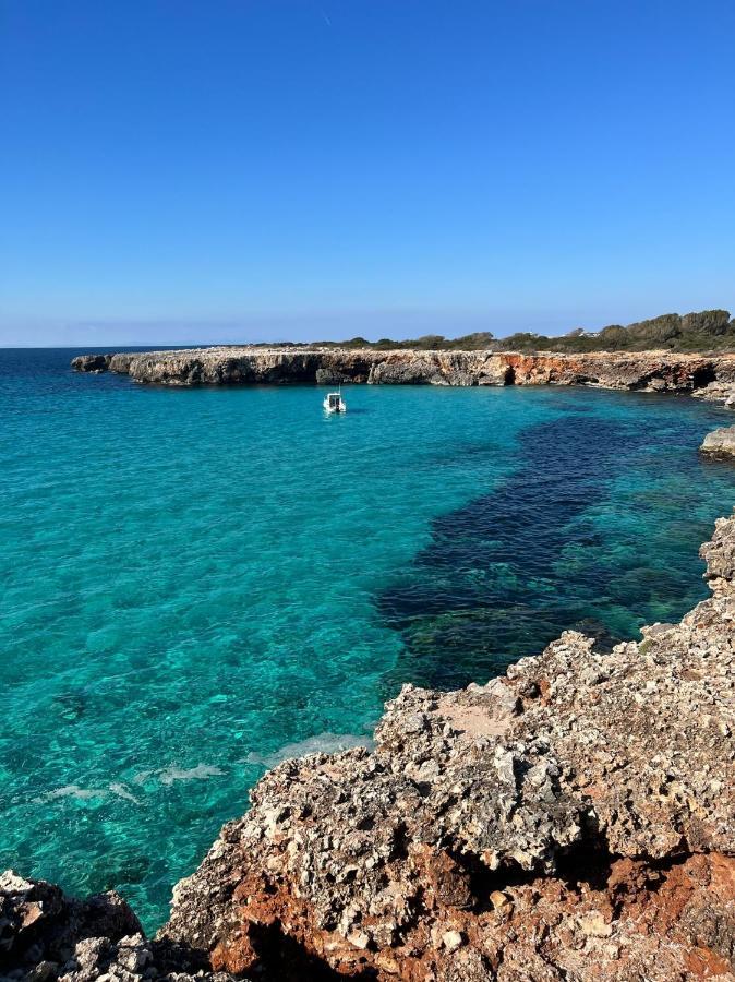 Bungalow Tropical Nº6 - Son Xoriguer Leilighet Eksteriør bilde