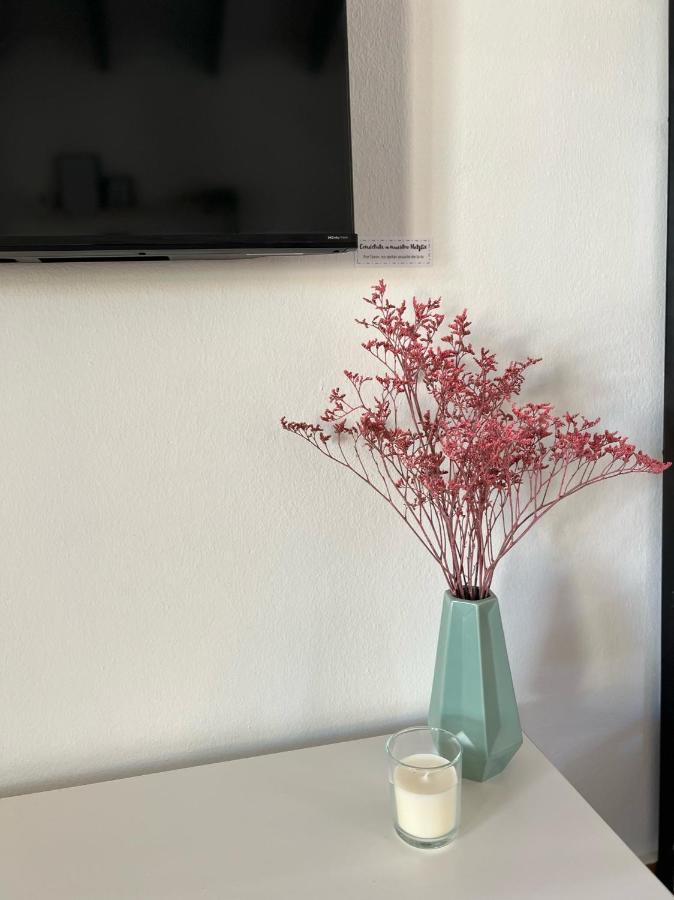 Bungalow Tropical Nº6 - Son Xoriguer Leilighet Eksteriør bilde